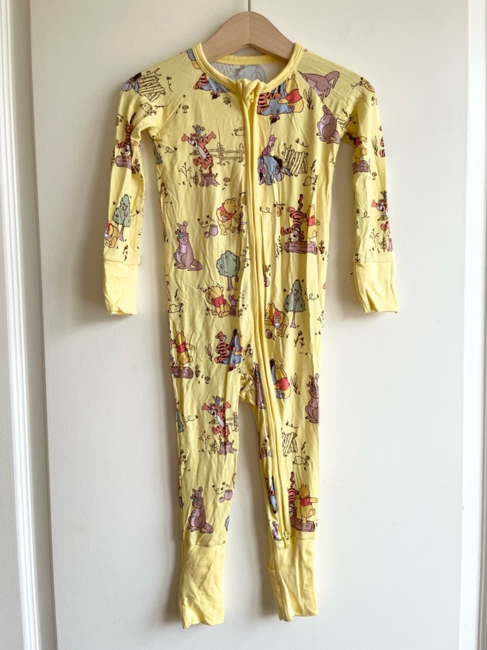 Little Sleepies Disney Winnie The Pooh Playtime With Pooh Zippy Pajamas 12-18 M